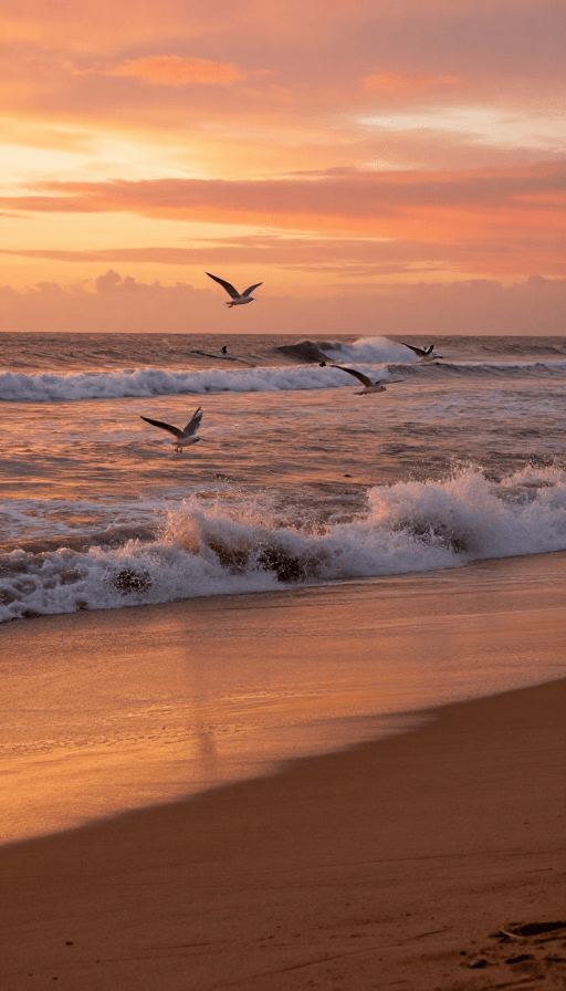 冲浪运动素材：夕阳金色海滩：海浪冲浪者的电影瞬间