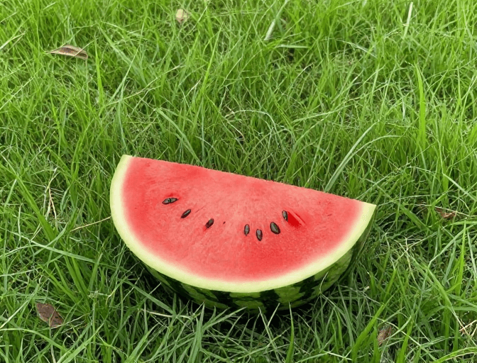 背景图素材：夏日清凉治愈时光