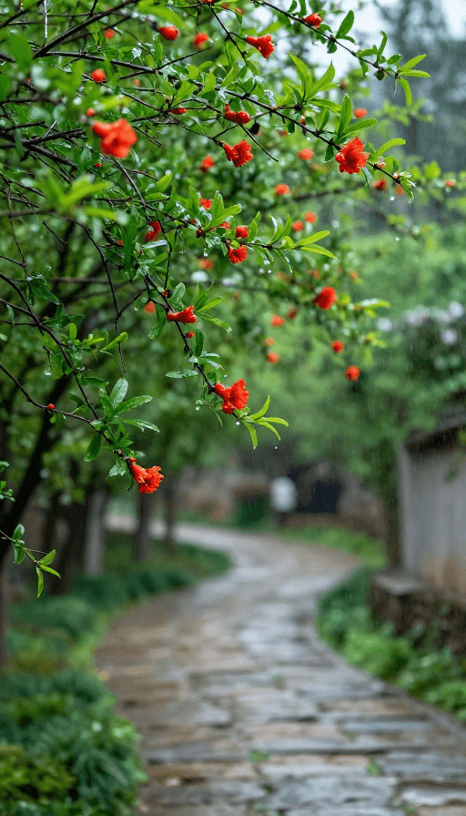 户外场景素材：春雨润石榴，绿意满枝头