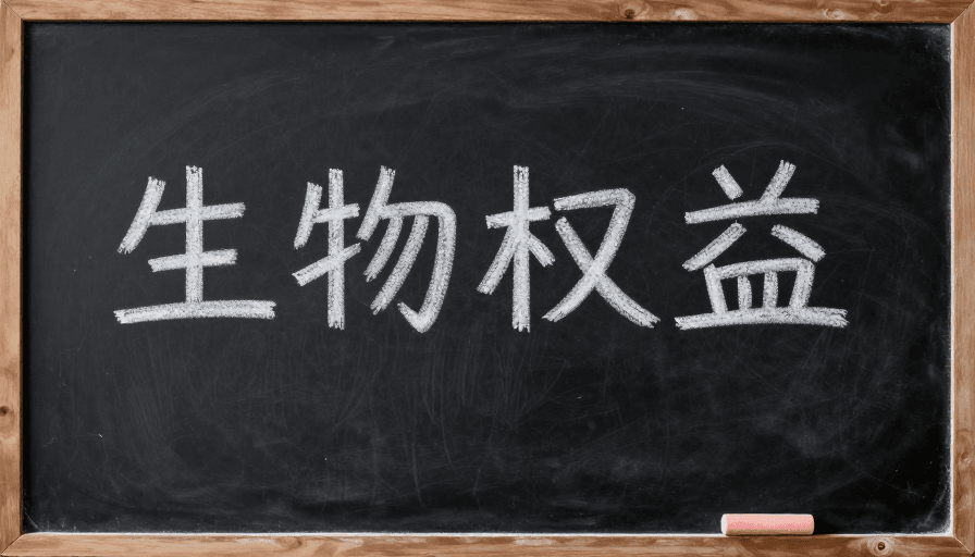 知识传播素材：复古黑板粉笔字：知识传递的温馨画面