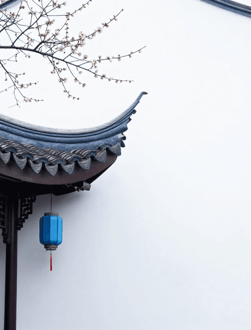 摄影作品素材：禅意东韵：中式飞檐与梅花的静谧之美
