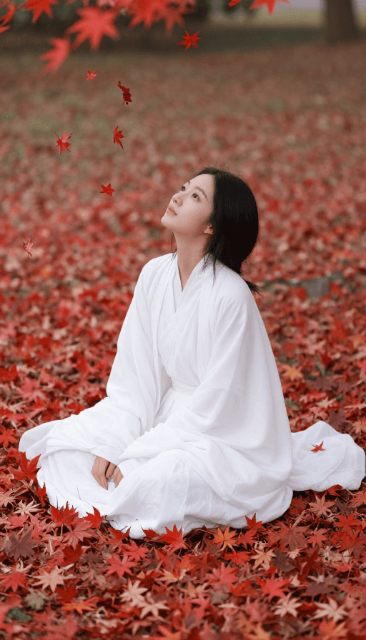 人文摄影素材：白衣静坐枫叶间，秋日诗意画卷