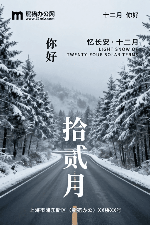 清冷氛围素材：拾贰月·清冷雪景：电影感冬日氛围海报