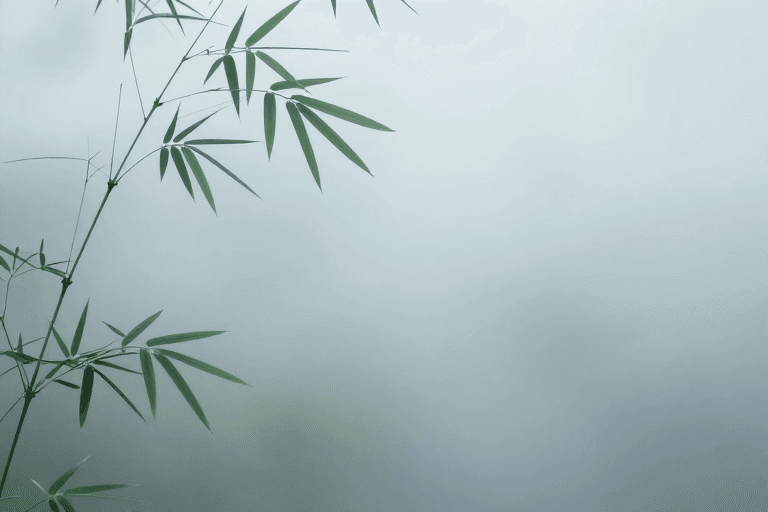 极简风格素材：禅意竹林静境：东方留白美学背景图