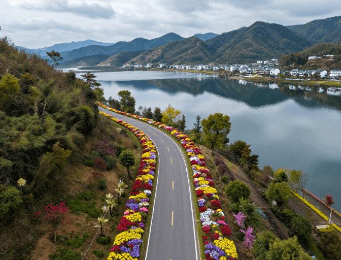 春日花海公路：青山湖畔的彩色风景