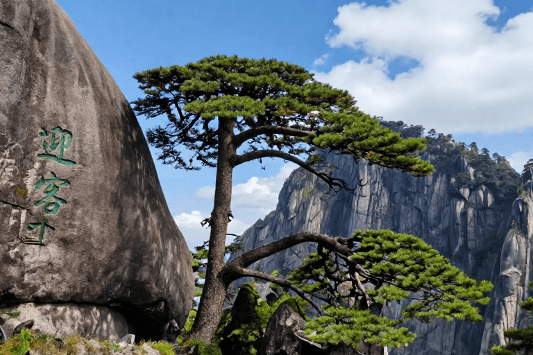 篆书岩刻素材：黄山迎客松：苍劲绿意中的自然画卷