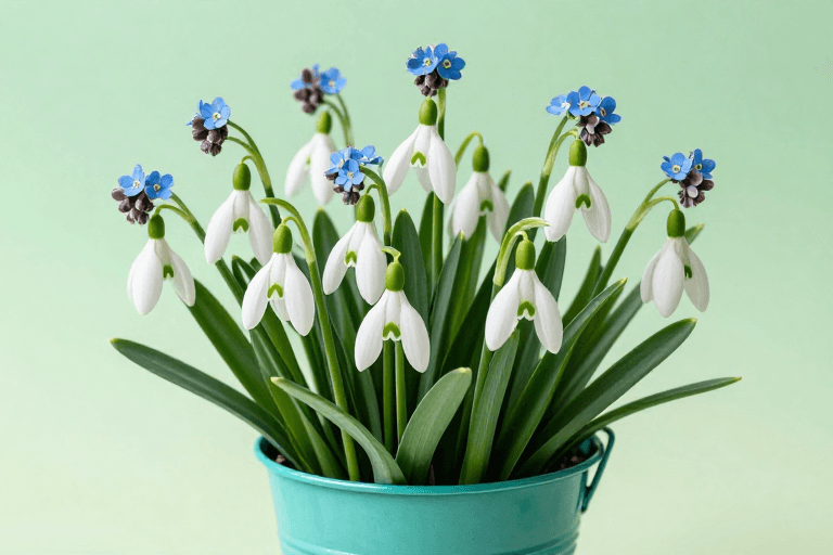 青绿渐变背景素材：春季花卉广告：雪滴花与勿忘我的青绿金属桶摄影
