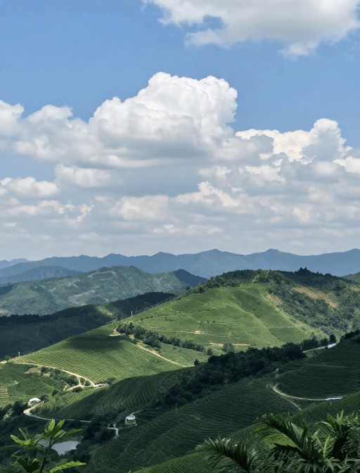 视觉艺术素材：如梦似幻的山水风光画卷