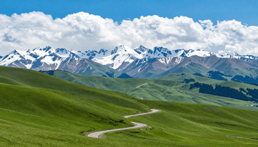 自然广告素材：蜿蜒公路穿越翠绿草原，远眺雪山雪峰