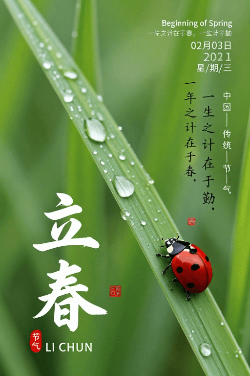 现代排版素材：春意盎然：传统节气的现代摄影美学