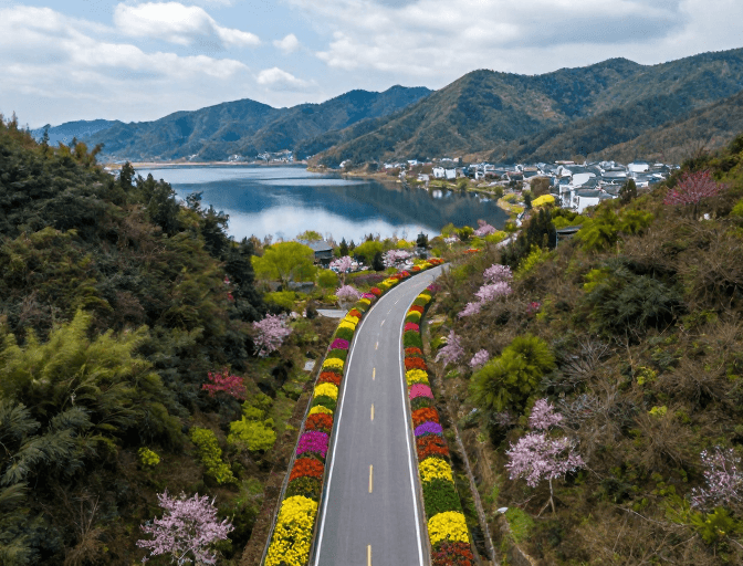 春日花海素材：春日斑斓：花海公路映湖光山色
