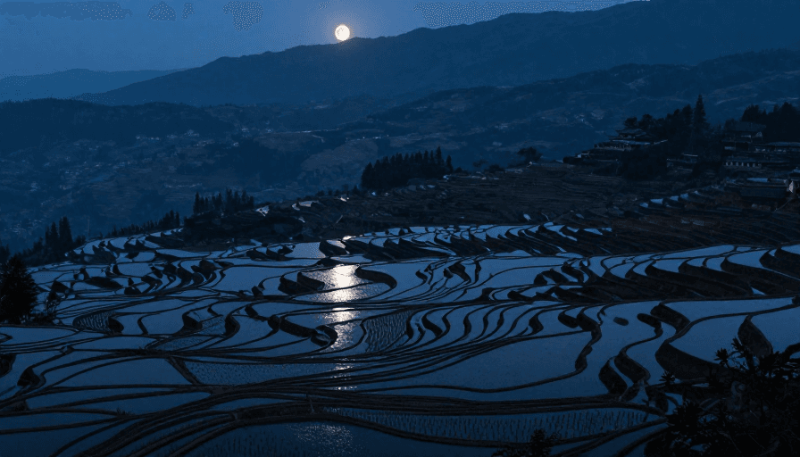 文旅广告素材：月影梯田：冷调光影下的静谧山水