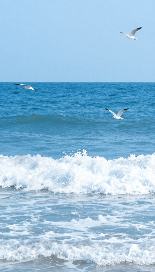 艺术摄影素材：梦幻蓝海：海天相接的永恒翱翔