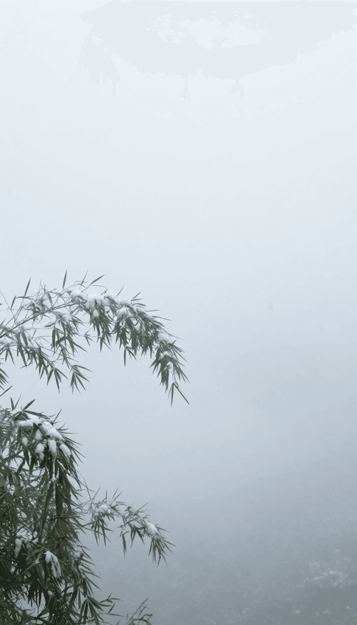 留白构图素材：雪雾红影：禅意超写实风景