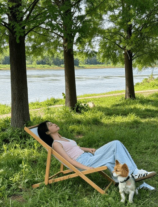 治愈风格素材：阳光草地上的宁静午后：女子与爱宠的治愈瞬间