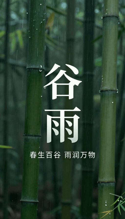 留白构图素材：谷雨立体文字海报：雨滴露珠点缀竹林留白意境