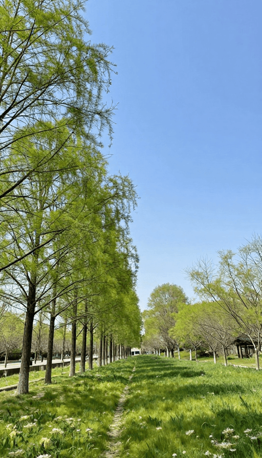 生机勃勃素材：大地回春·万物复苏的生机勃勃景象