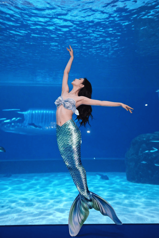 珠海海洋馆素材：珠海美人鱼舞美表演：美女沉浸式观演实拍