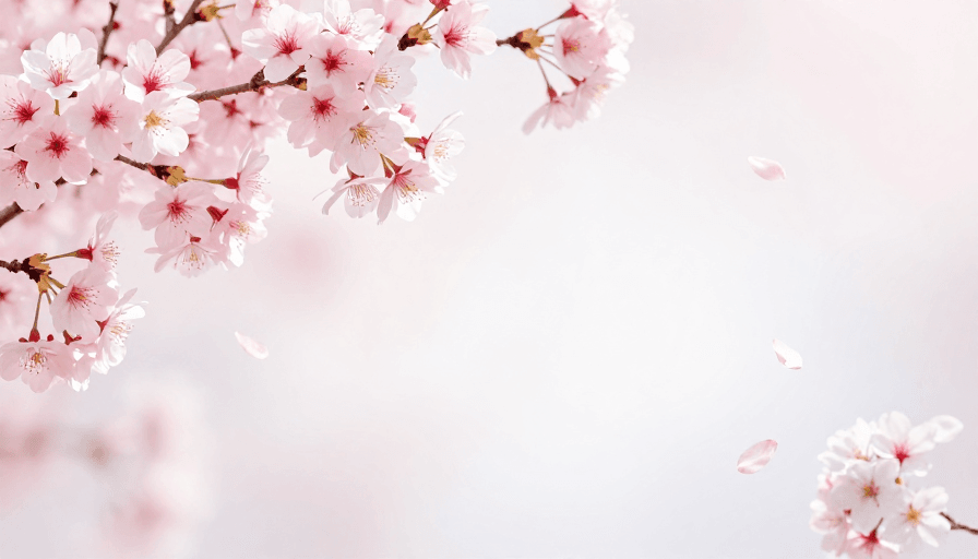粉色渐变素材：樱花梦境：柔和渐变与留白艺术
