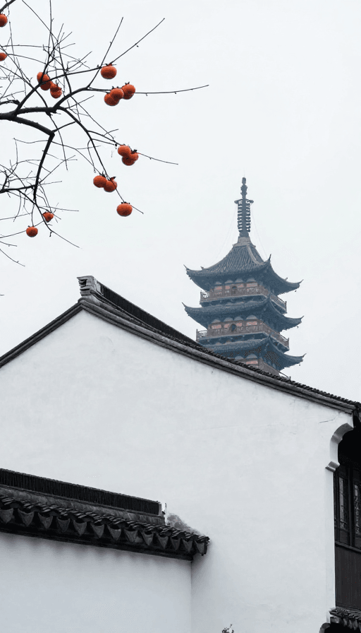 白墙黑瓦素材：江南古韵：北寺塔檐下柿子枝头