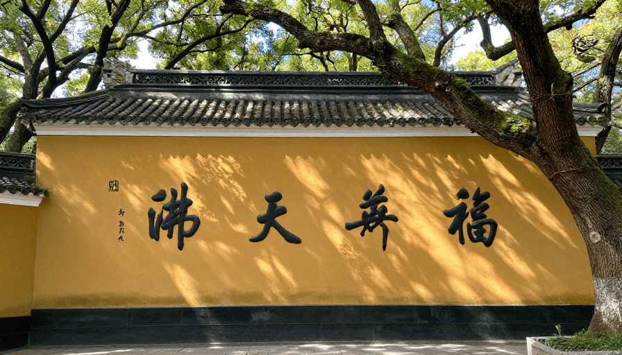 佛教圣地素材：普陀山海景与古刹：佛教圣地的宁静风光