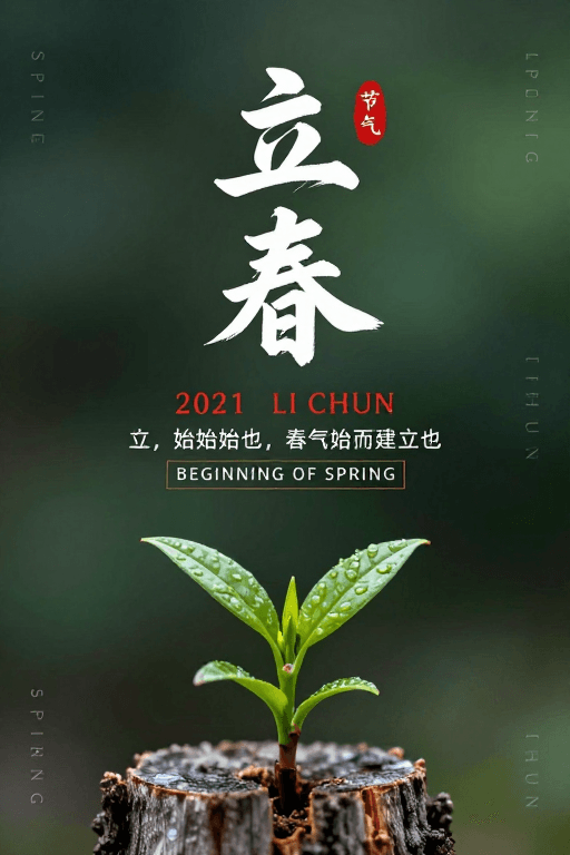 节气文化素材：中国风立春海报：笔墨生机与季节诗意