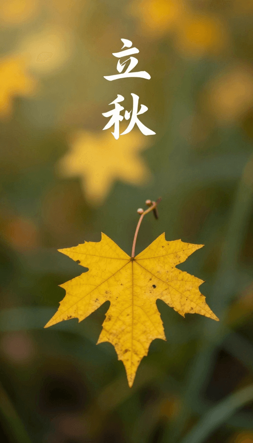 季节美学素材：金秋起意：立秋节气诗意风景
