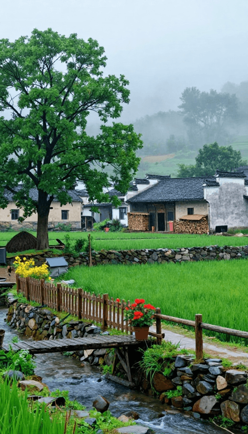 高饱和度素材：雨后晨雾中的中国古村落：清新自然之美