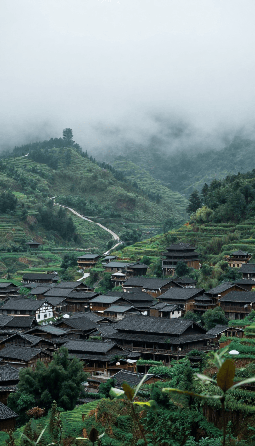 雾中山林素材：雾霭中山林间古朴中式民居静卧