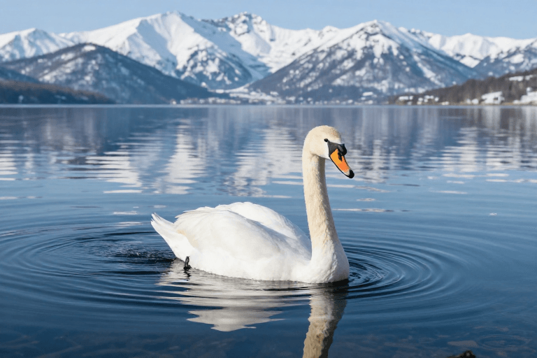 中心构图素材：纯净蓝白：天鹅游弋雪山湖面的自然画卷
