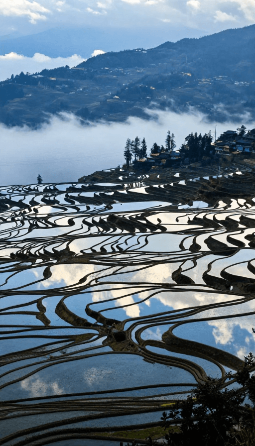 大地调色板素材：元阳梯田晨景：大地调色板上的自然诗篇