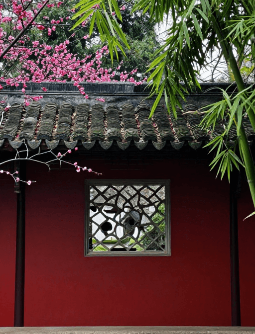 装饰背景素材：古韵庭园：红墙绿瓦与腊梅竹影的唯美画卷