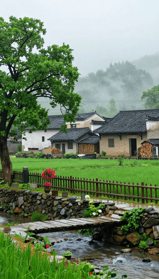 高饱和度素材：雨晨中国古村落田园风光实拍