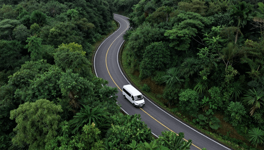 公路风景素材：绿野公路：货车穿行自然光影