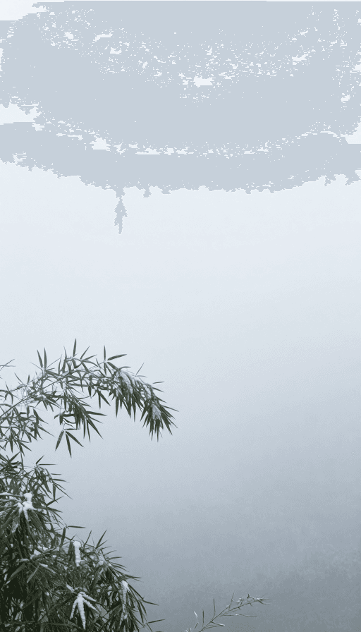 摄影作品素材：雾霭竹林雪景禅意红影静谧意境