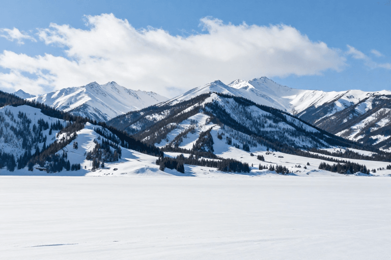 户外运动素材：雪域秘境：纯净雪山与针叶林的自然交响