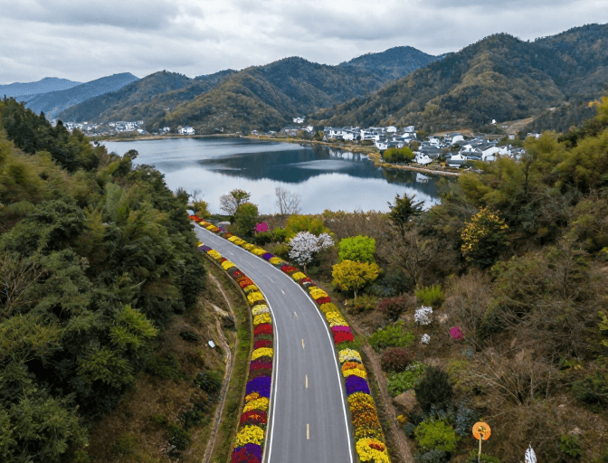 春日花海素材：春日公路花带：青山湖村的静谧画卷