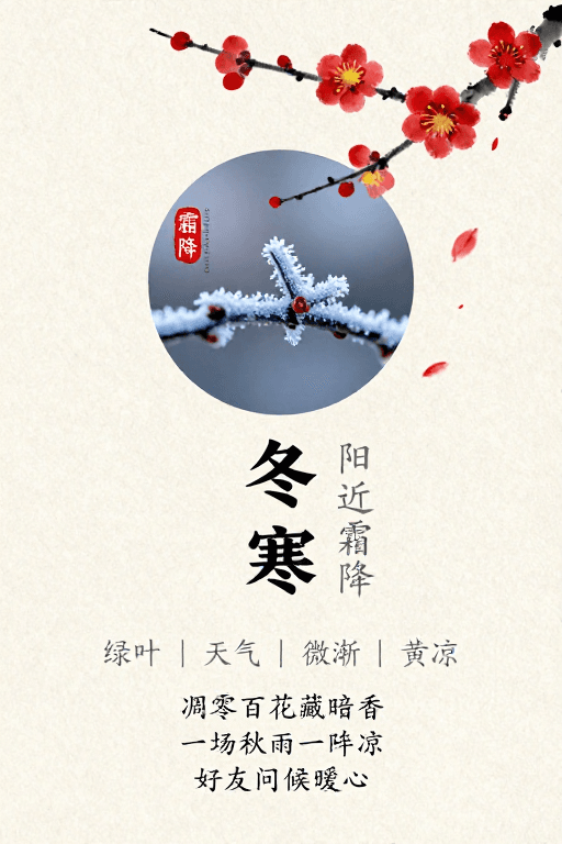 节气海报素材：霜降意境：水墨红梅与冰晶霜花的典雅中国风海报