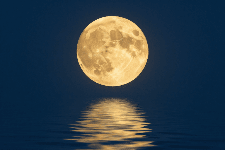 满月素材：金辉满月映碧波：静谧夜空下的月夜倒影