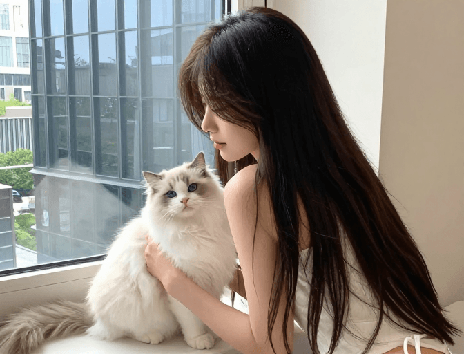 社交媒体素材素材：长发女生与布偶猫的温馨家园，现代窗景相伴