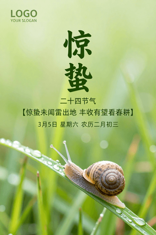 微距摄影素材：惊蛰·春日生机：蜗牛草叶上的微距诗意