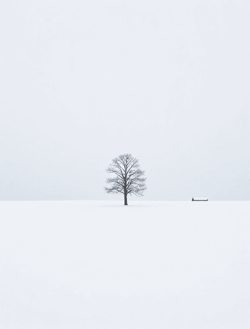 空间留白素材：极简雪景：天地间的静谧之美