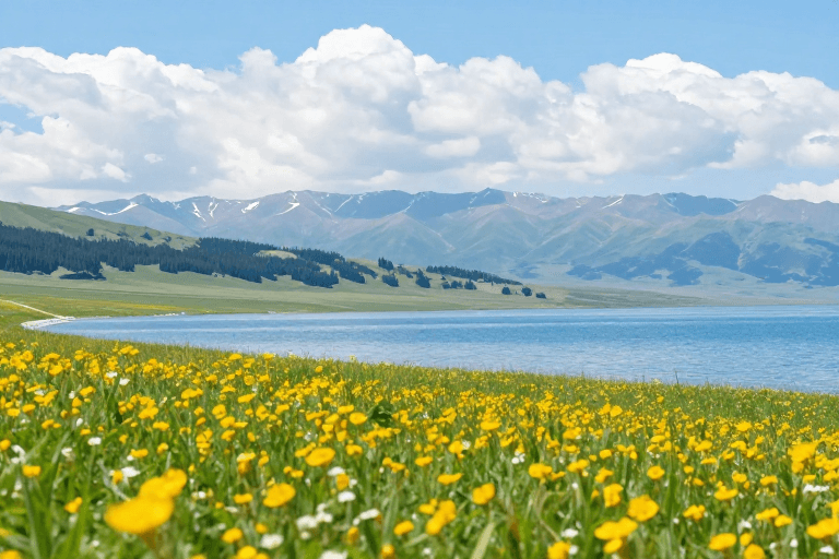高清实景素材：湖畔花海：自然与风景的极致呈现