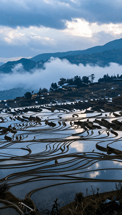 大地调色板素材：元阳梯田：大地的调色板与心灵震撼的自然画卷