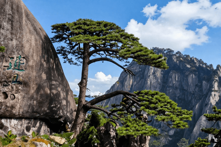 岩石纹理素材：黄山迎客松：峭壁之巅的翠绿守望
