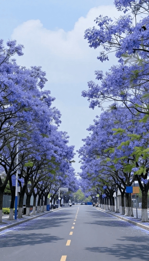 艺术摄影素材：梦幻蓝色花海环绕的静谧公路