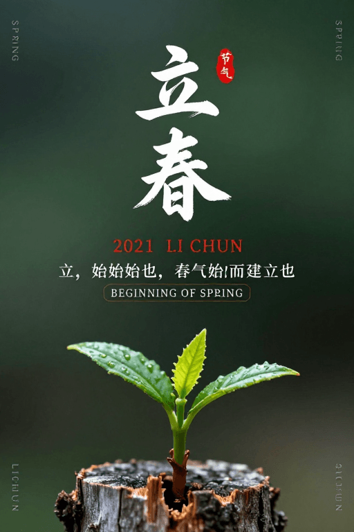 传统书法素材：中国风立春节气海报：书法与自然诗意的融合