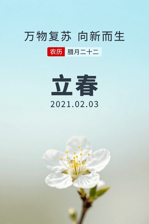 节气海报素材：极简春意：万物复苏的立春海报