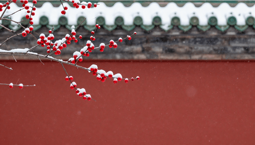 节日氛围素材：雪映红梅：传统中式建筑下的节日美景
