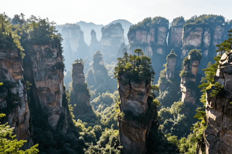 高清风景素材：晨光穿透峰林：张家界砂岩与翠绿的秘境